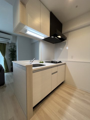 【キッチン】 | ラ・ピシーヌ南堀江 | 2口ガスコンロ！調理スペースあり！