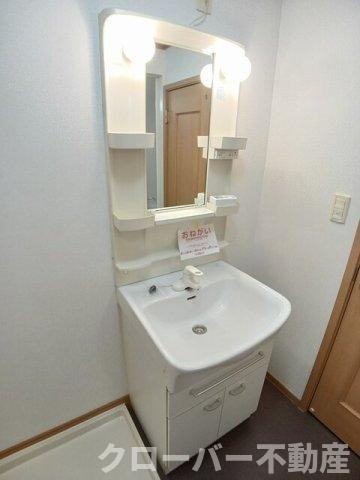 ロイヤルガーデンハイツＢの洗面所