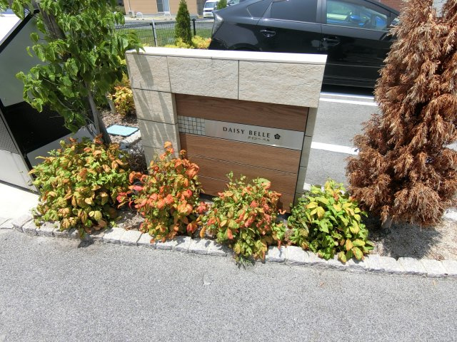 デイジー　ベルの周辺