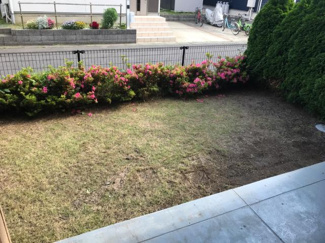 【庭】 | スカイバレー | 庭