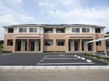 エレガンス　ククナの画像