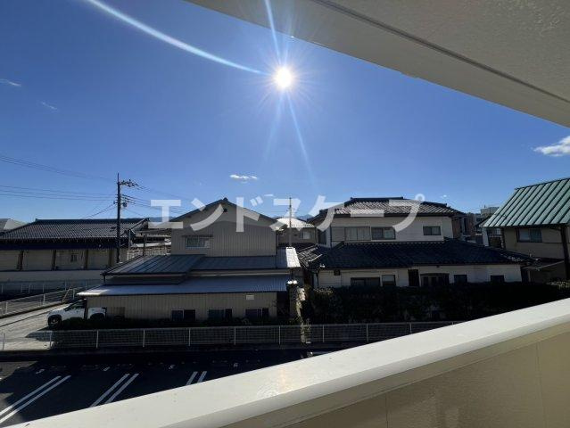 リシアンの展望