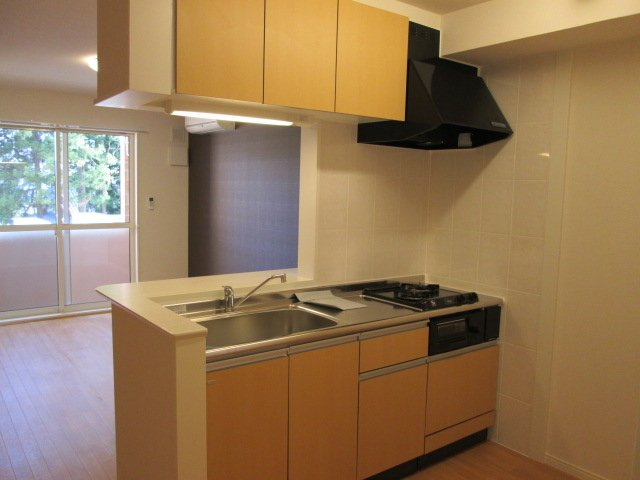 アルファスのキッチン|キッチン