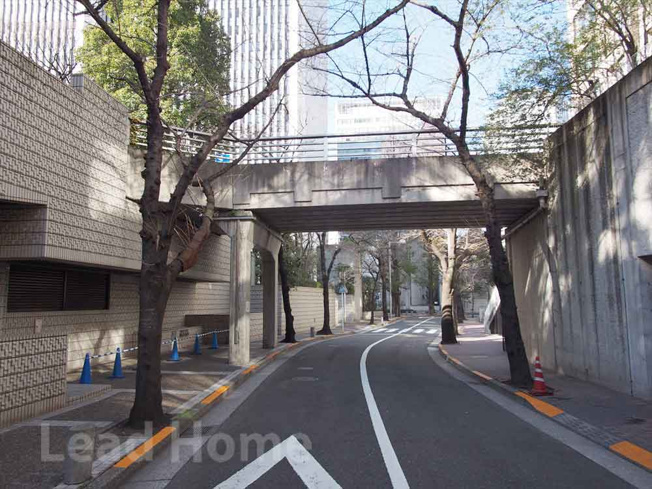 【その他】 | パークコート赤坂桜坂 | 前面道路