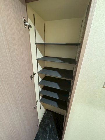 大阪市西区本田１丁目の賃貸マンションの収納