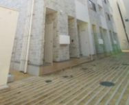 【エントランス】 | シエルブルー亀戸 | 毎日通るエントランスはこのようになっています