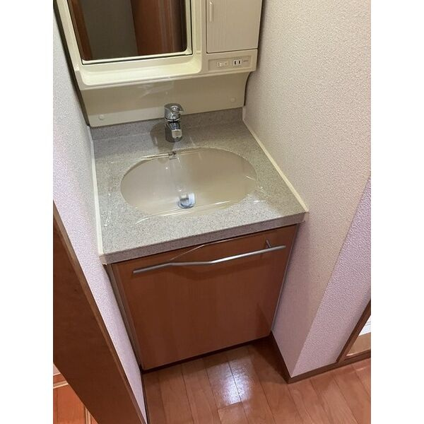 エステムコート新大阪IIIステーションプラザの洗面所