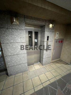 【その他】 | ジェンティール・アドニス