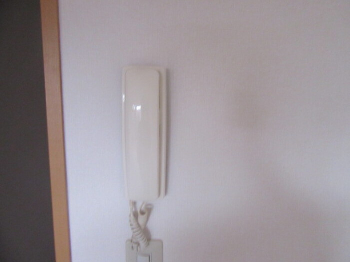 トゥルースタウンのセキュリティ