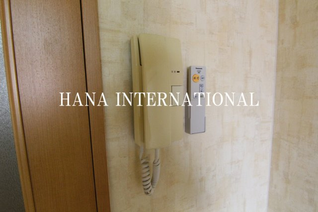 カリブのその他