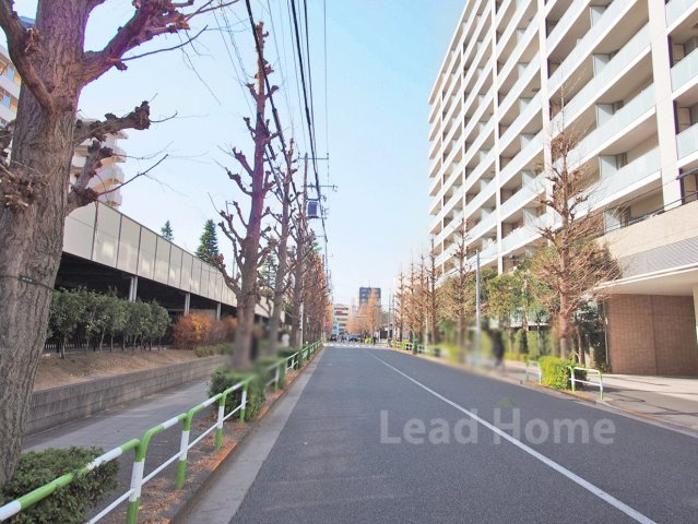【その他】 | クラッシィハウス世田谷公園 | 前面道路