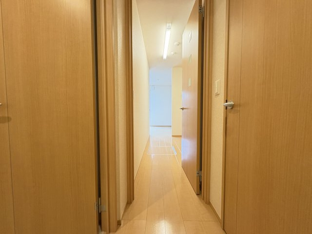 ドルフエンデのその他