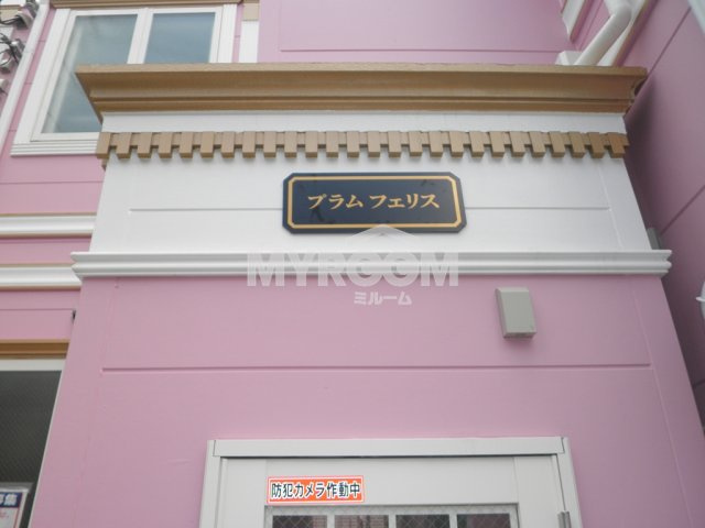 プラムフェリス（ピンク）のエントランス