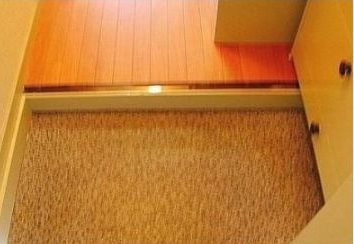 第１６紀州ハイツの玄関|玄関