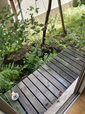 【周辺】 | メゾンコーワ