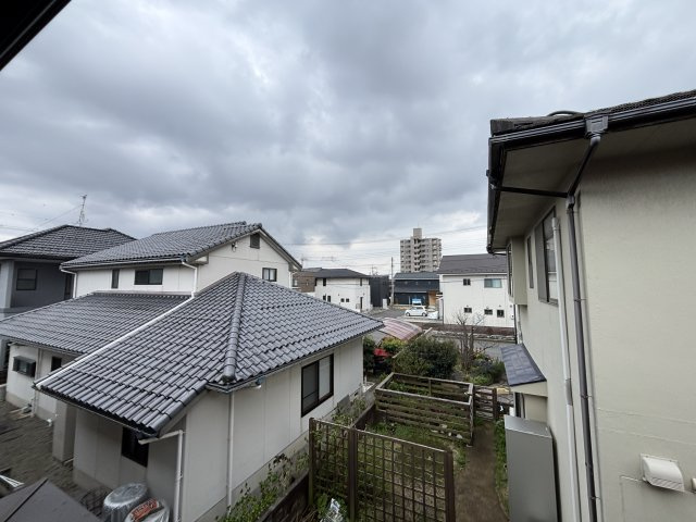 野いちごの展望