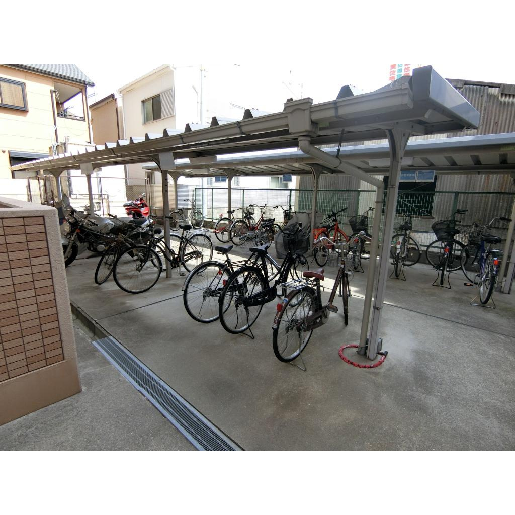 Ｇｒａｃｅ　Ｃｏｕｒｔのその他