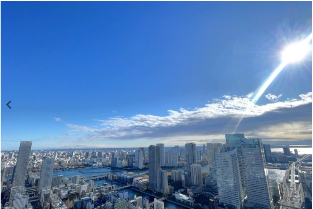 ★仲介手数料無料★KACHIDOKI VIEW TOWER（46階超高層につき眺望良好）の展望