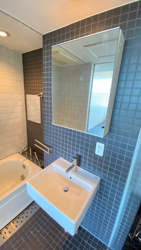 イプセ学芸大学の洗面所