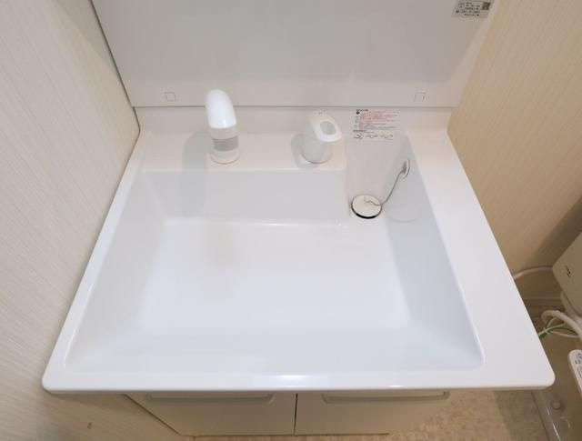 フォーリア加賀の洗面所