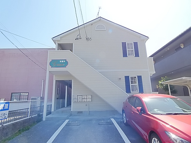 グレイス市場木