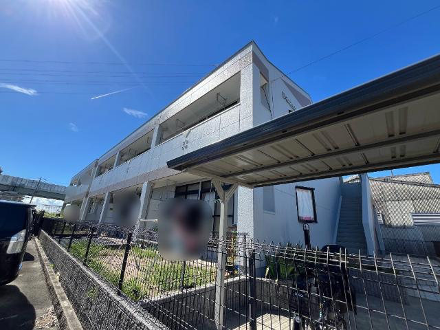 ダイアンサス８２