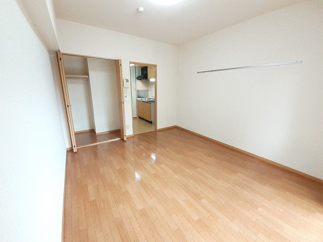 アヴニール東雲の収納|大きなものも収納できそうです