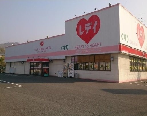 シティハイツ佐竹の周辺|レディ薬局まで900m