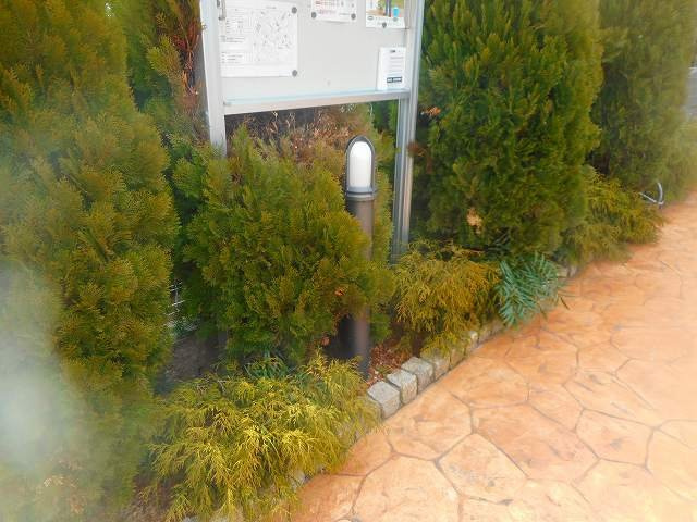 ニュー昇寿のキッチン