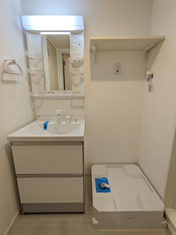 ハーモニーテラス野田Ⅱの洗面所