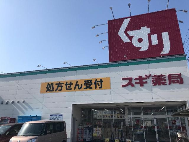 ハイツＬの周辺|スギ薬局豊田高上店まで681ｍ