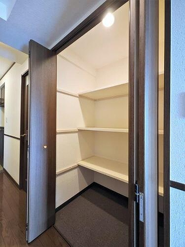 ライオンズマンション三好ヶ丘の収納|廊下収納