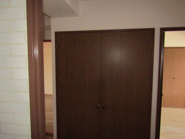 サクシードの収納