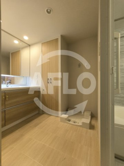 【洗面所】 | 阿波座ライズタワーズフラッグ46　ＯＭＰタワー | 阿波座ライズタワーフラッグ46　ＯＭＰタワー　洗面所