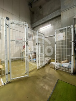 【その他共用部分】 | カスタリアタワー長堀橋　ゴミステーション