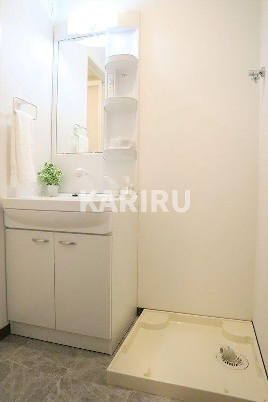 グランパシフィック北巽の洗面所