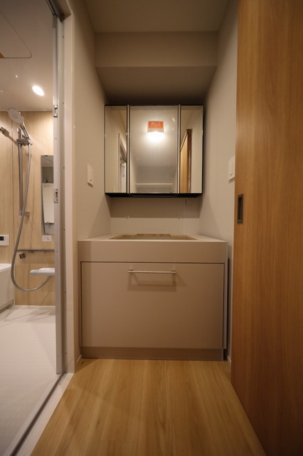 グリーンヒルズ南大塚の洗面所