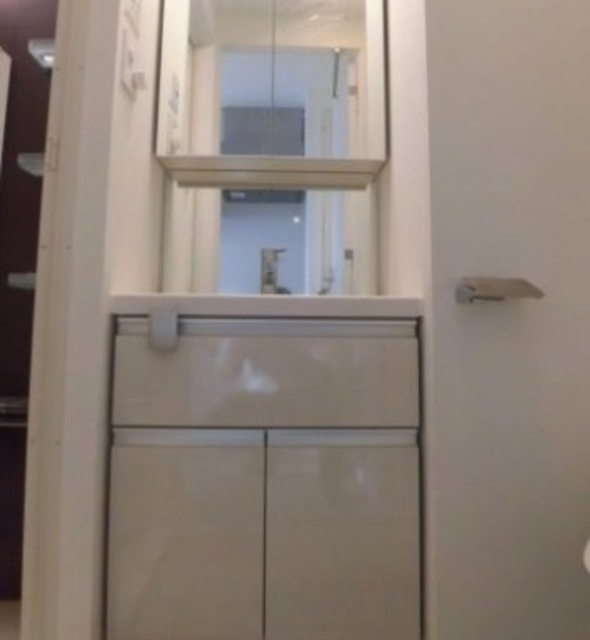 プレスタイル入谷Ⅱの洗面所