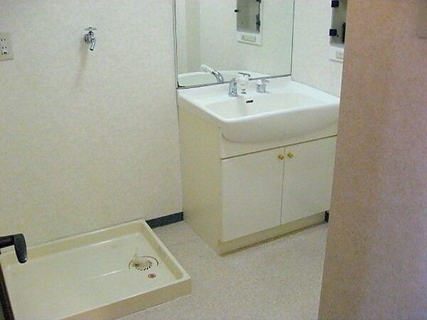 マンシオン・タイラの洗面所