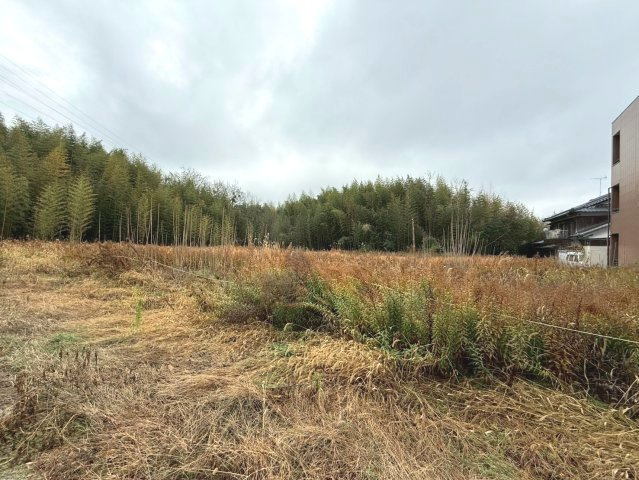 丸山町能頭貸地