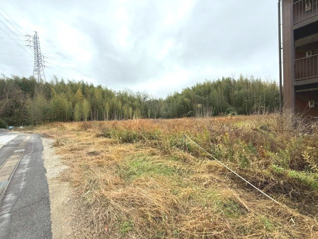 丸山町能頭貸地