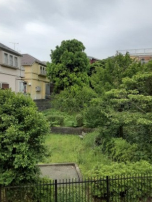 【展望】 | ルミエール