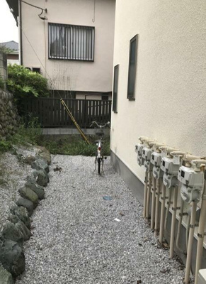 【その他】 | ルミエール