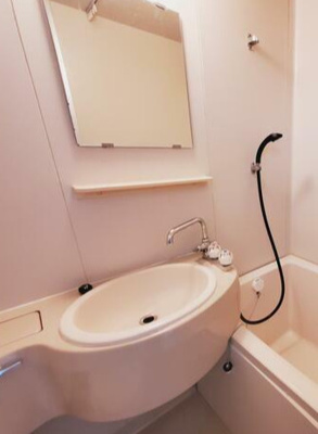 【洗面所】 | チャーミーゴリラ