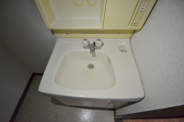 コーポ躍場の洗面所