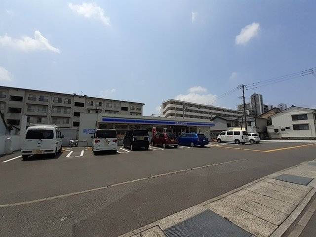 セレーナの周辺|その他