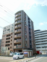 セラヴィの画像