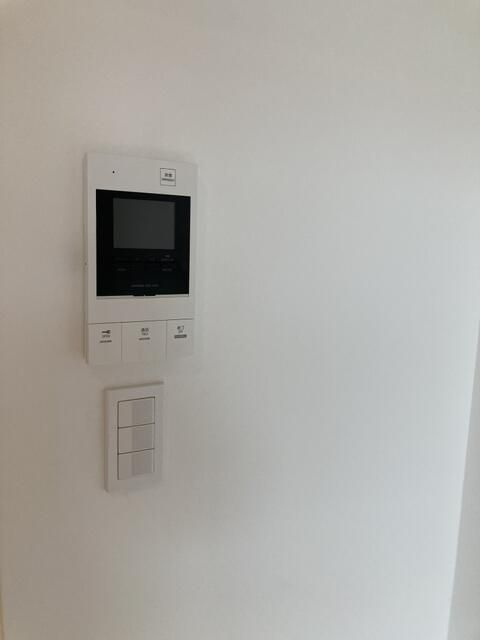 オモチデ扇大橋のセキュリティ