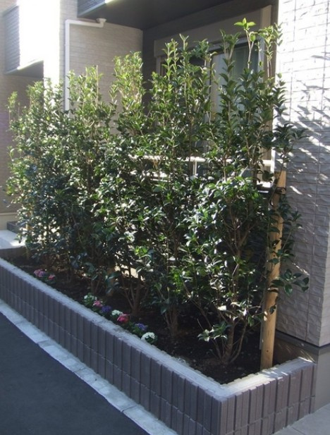 ウッドレイクのその他共用部分