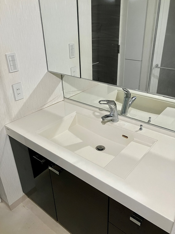 シティハウス豊洲キャナルテラスの洗面所